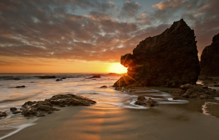 为什么春天移栽植物（为什么春天移栽植物容易死