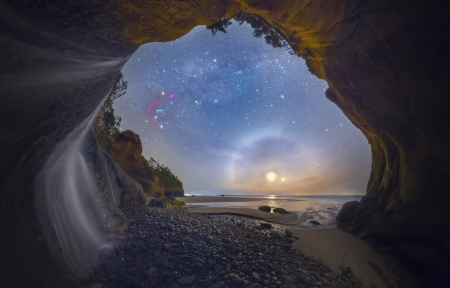 为什么植物不长了（为什么植物不长了叶子）