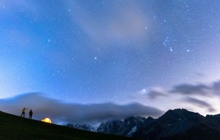 为什么植物不会冻死呢（植物被冻死的原因是什么