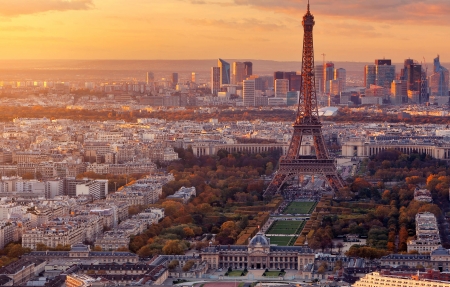 苦参是保护植物吗吗为什么（苦参是保护植物吗吗