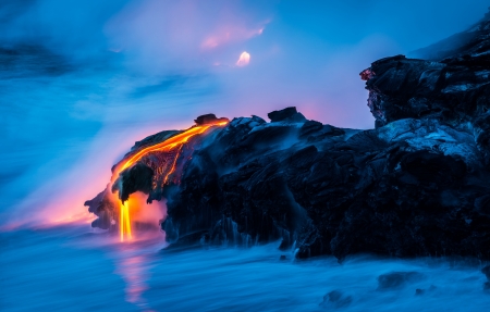 豆科植物为什么可以做绿肥（豆科植物为什么可以