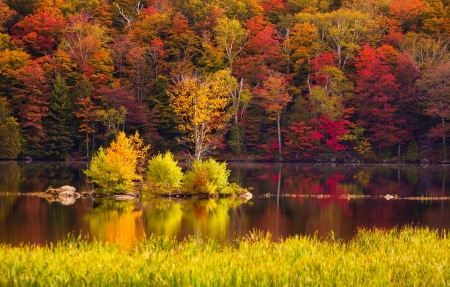 蚯蚓为什么钻到土里的故事_益智故事蚯蚓为什么钻到土里完整版