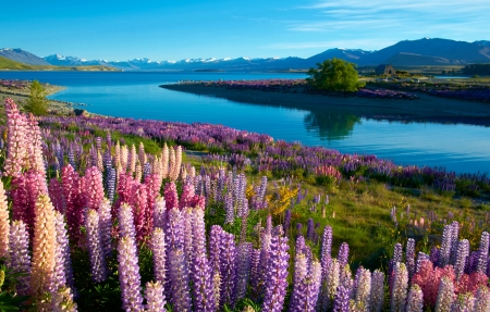 七夕套路情话（三）